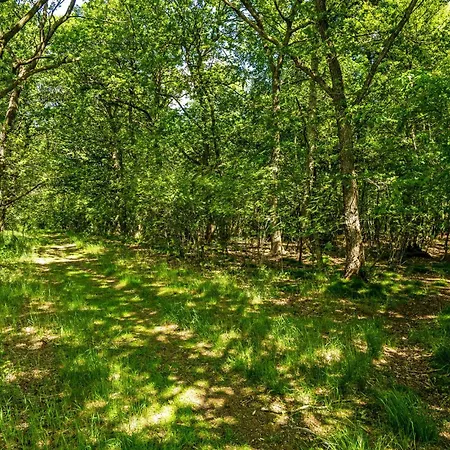 1 Bedroom Awesome In Hampen